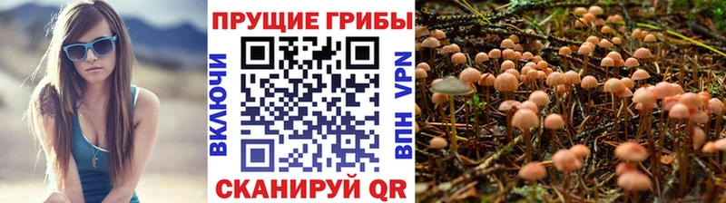 где купить наркоту  Рязань  Галлюциногенные грибы мицелий 