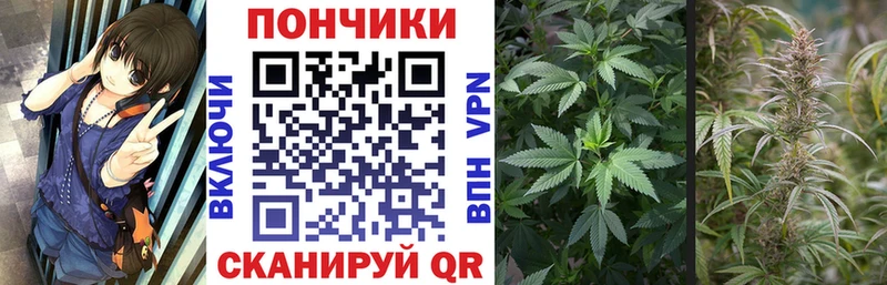 Марихуана сатива  Рязань 